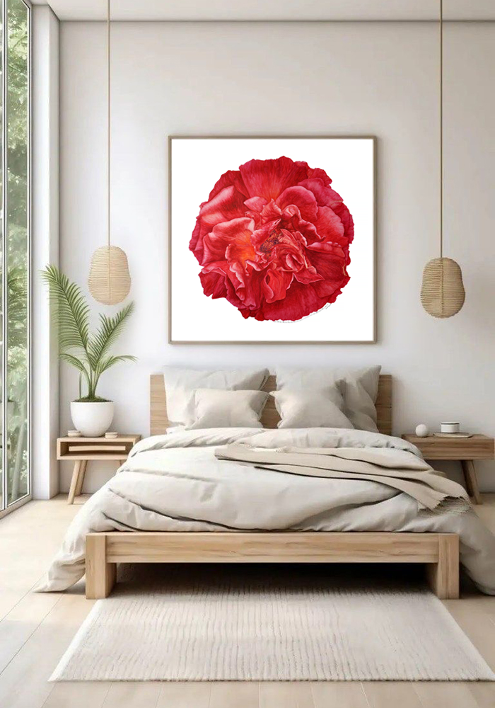 Rose number 1 - Contemporary Botanical Fine Art Print