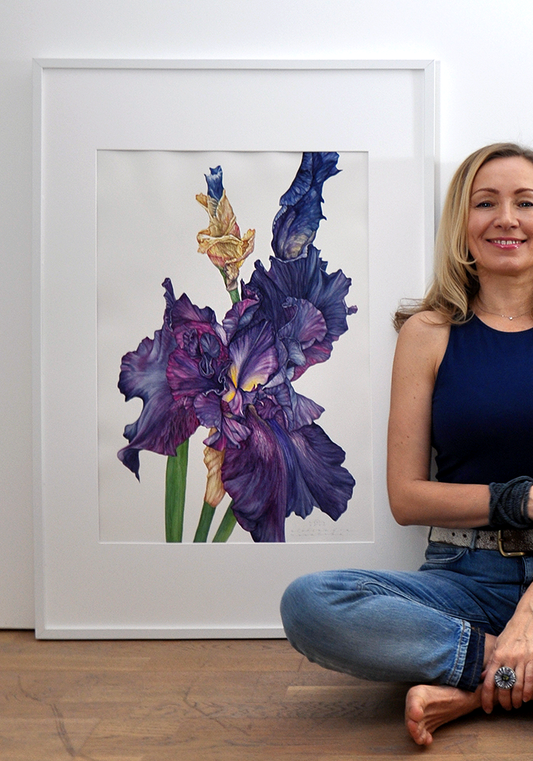 Iris - Original Watercolour Painting