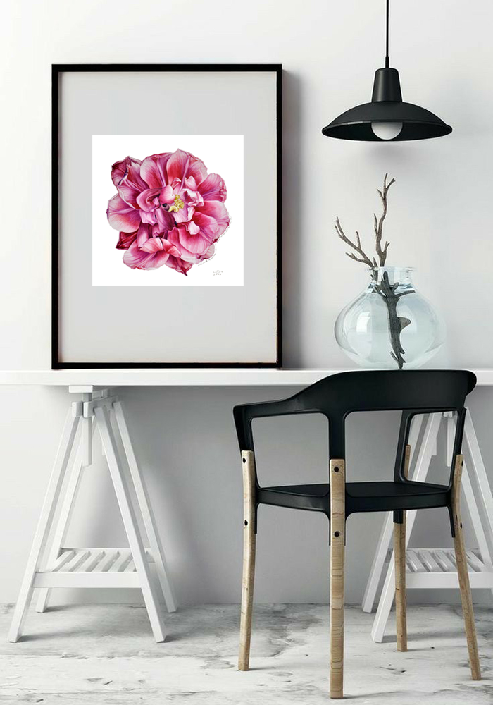 Blooming Red Tulip - Modern Botanical Fine Art Print in black frame on desk